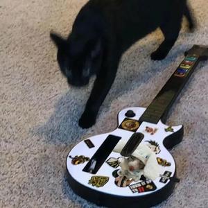 人与马性交免费观看
